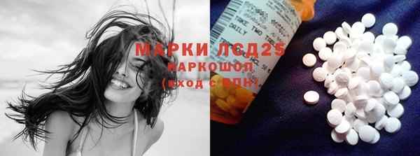 хмурый Корсаков