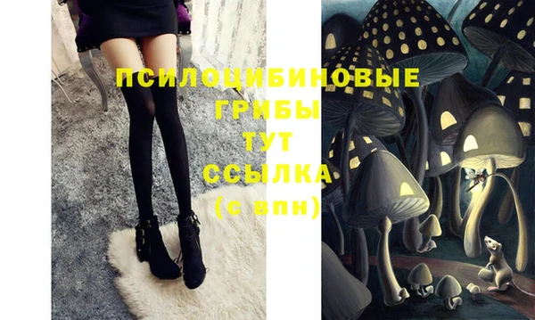 хмурый Корсаков