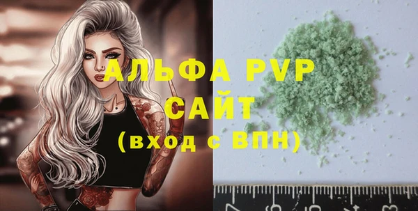 хмурый Корсаков