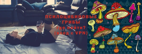 a pvp Коряжма