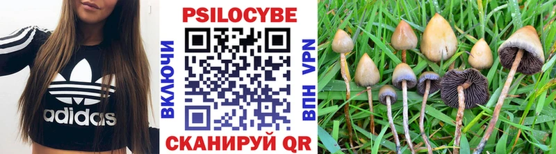 Псилоцибиновые грибы ЛСД  Купить закладки  Западная Двина 